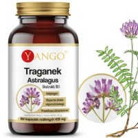 Yango TRAGANEK wsparcie ODPORNOŚĆ CUKRZYCA CIŚNIENIE 100