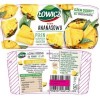 Łowicz DŻEM ANANAS z ananasa NISKOSŁODZONY 280g słoik
