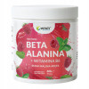 BETA ALANINA + WITAMINA B6 smak MALINA MIĘTA WISH odżywka PRZEDTRENINGOWA