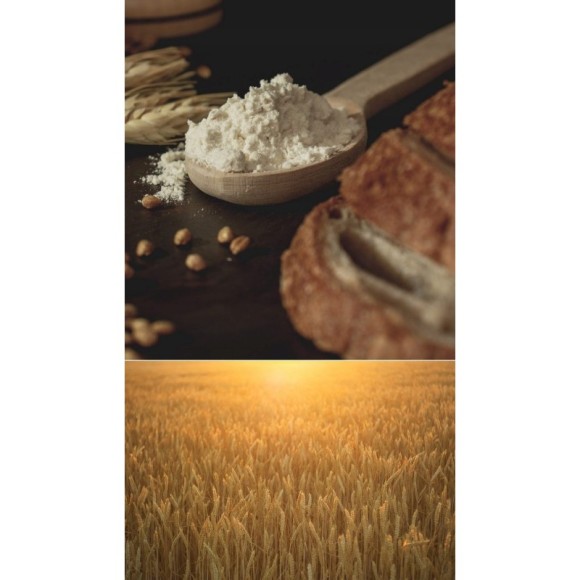 Melvit bio ekologiczna MĄKA KOKOSOWA 1000g 1KG bezglutenowa