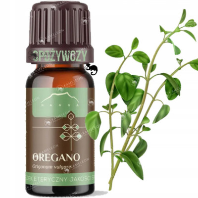 Olejek eteryczny 100% Oregano
