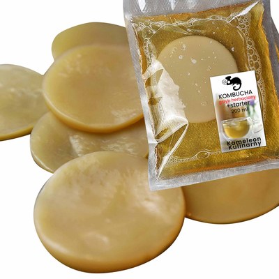 GRZYBEK HERBACIANY scoby KOMBUCHA 6-7 + starter 200ml +