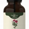 Nanga CZYSTEK KRETEŃSKI krople 50ml wsparcie ODPORNOŚĆ