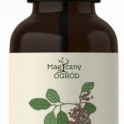 Nanga ALCHORNEA CORDIFOLIA wyciąg ziołowy 50ml