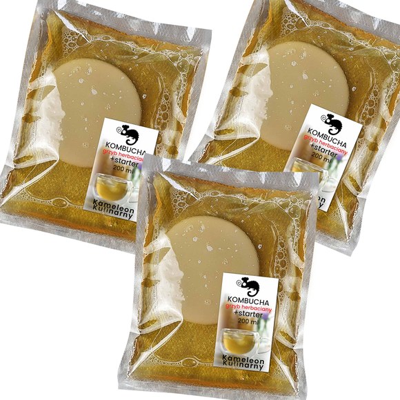 KAMELEON KULINARNY 3x GRZYBEK HERBACIANY scoby KOMBUCHA +