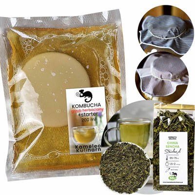 KAMELEON GRZYBEK HERBACIANY KOMBUCHA + starter + herbata