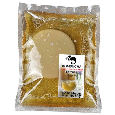 KAMELEON GRZYBEK HERBACIANY scoby 6,5 + starter 200ml DO