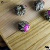 HERBATA KWITNĄCA BIAŁA JAŚMINOWA Jasmine Lichi Ball 1szt