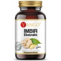 Yango IMBIR EKSTRAKT 510mg 90 kapsułek na 3mce Odporność &