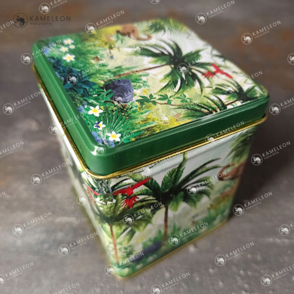 PUSZKA METALOWA na herbatę zioła TROPIKI zielona zieleń na 50g 60x60x80mm PUSZKA METALOWA na herbatę zioła TROPIKI zielona zieleń na 50g 60x60x80mm