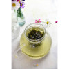 HERBATA zielona aromatyzowana DUCH PORANKA HIT 50G HERBATA zielona aromatyzowana DUCH PORANKA HIT 50G