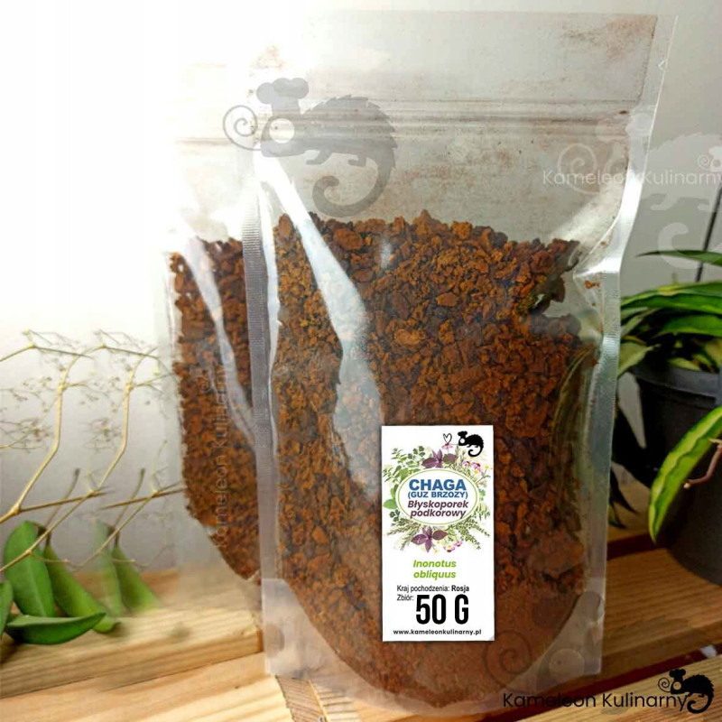 CHAGA HUBA guz brzozy BŁYSKOPOREK PODKOROWY czaga Inonotus 50g KAMELEON