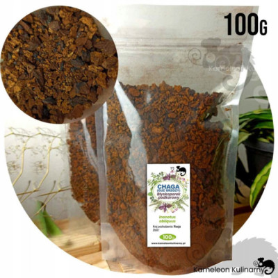 CHAGA HUBA guz brzozy CZAGA Inonotus obliquus BŁYSKOPOREK PODKOROWY 100g