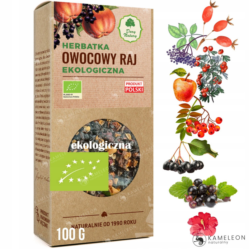 Dary Natury HERBATKA EKOLOGICZNA OWOCOWY RAJ 100g