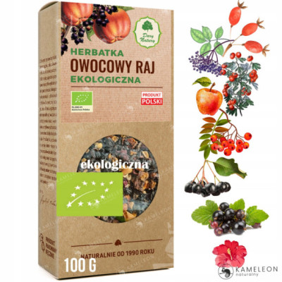 Dary Natury HERBATKA EKOLOGICZNA OWOCOWY RAJ 100g