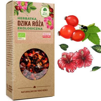 HERBATKA DZIKA RÓŻA ekologiczna 100g DARY NATURY