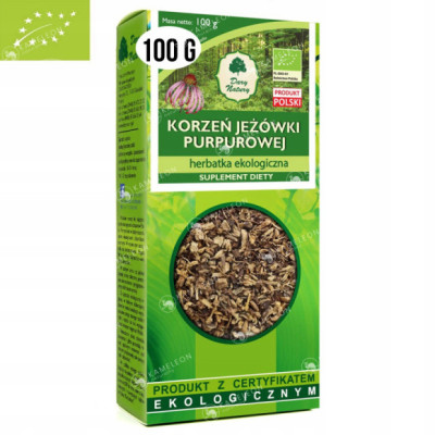 JEŻÓWKA PURPUROWA KORZEŃ JEŻÓWKI 100g EKO DARY NATURY wsparcie ODPORNOŚĆ