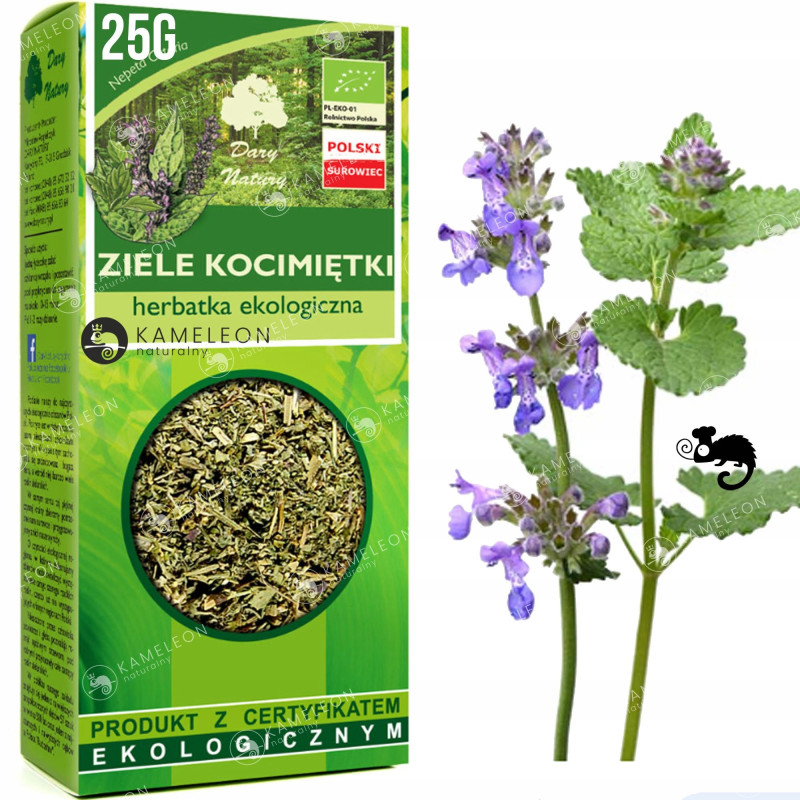 KOCIMIĘTKA ZIELE KOCIMIĘTKI 25g eko DARY NATURY wsparcie ODPRĘŻA RELAKSUJE
