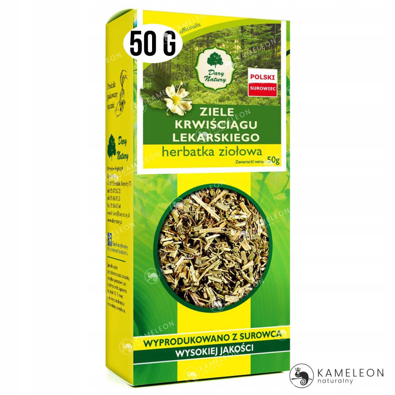 KRWIŚCIĄG LEKARSKI ziele KRWIŚCIĄGU 50g DARY NATURY wsparcie ŁOJOTOK ŁUPIEŻ