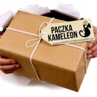 PACZKA DUŻA Kameleon Produkty Spożywcze Przekąski Z KRÓTKĄ