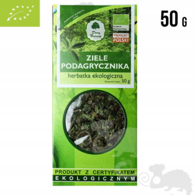 PODAGRYCZNIK ziele PODAGRYCZNIKA eko 50g DARY NATURY wsparcie: TRAWIENIE