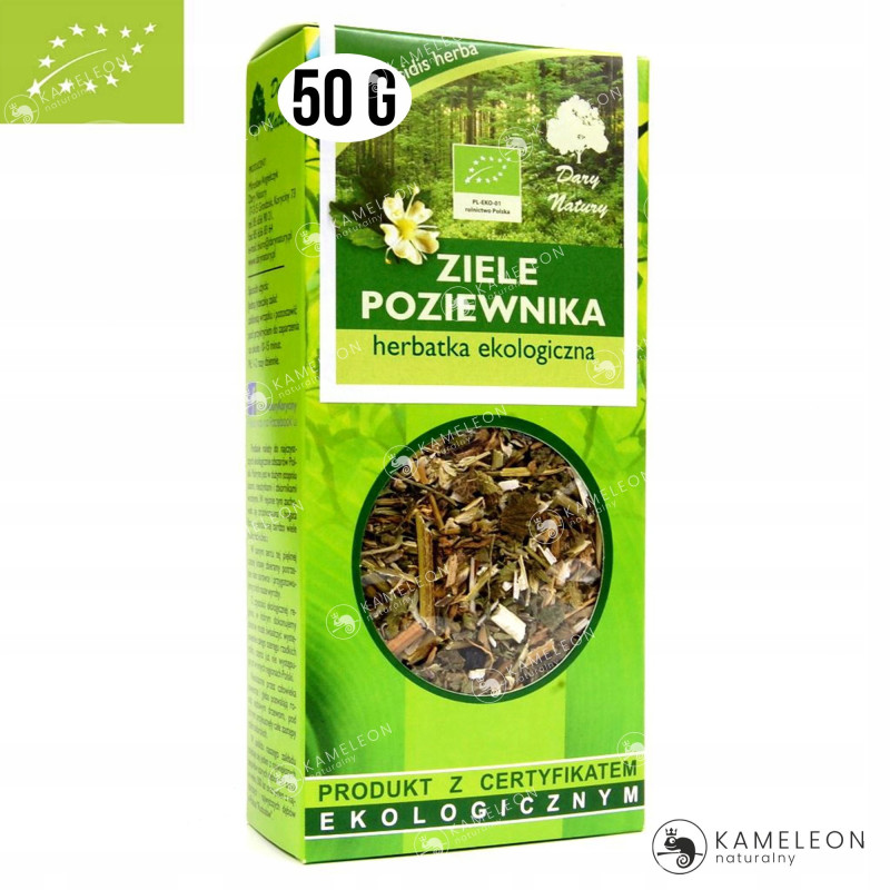 POZIEWNIK ZIELE POZIEWNIKA eko 50g DARY wsparcie U. ODDECHOWY GRYPA GARDŁO