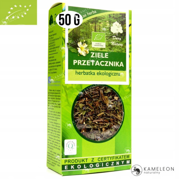 PRZETACZNIK ZIELE PRZETACZNIKA 50g EKO DARY NATURY wsparcie UKŁAD ODDECHOWY PRZETACZNIK ZIELE PRZETACZNIKA 50g EKO DARY NATURY wsparcie UKŁAD ODDECHOWY