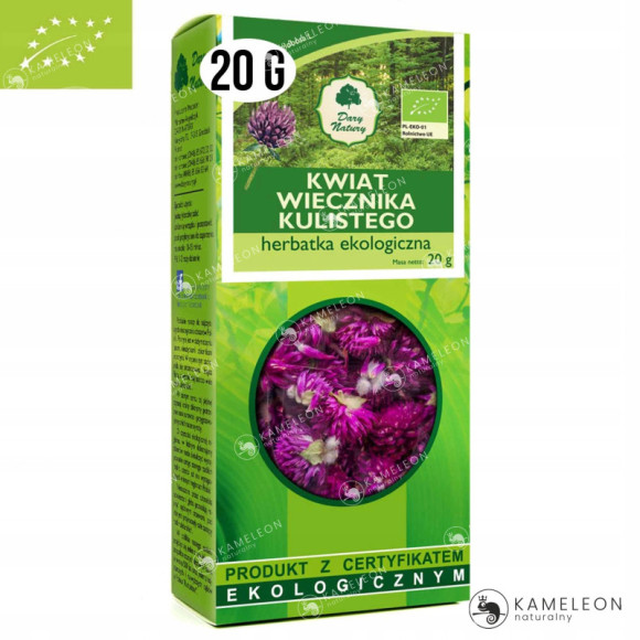 WIECZNIK KULISTY KWIAT eko 20g DARY NATURY wsparcie: MIGRENA NADCIŚNIENIE WIECZNIK KULISTY KWIAT eko 20g DARY NATURY wsparcie: MIGRENA NADCIŚNIENIE