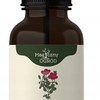 Nanga CZYSTEK KRETEŃSKI krople 50ml wsparcie ODPORNOŚĆ