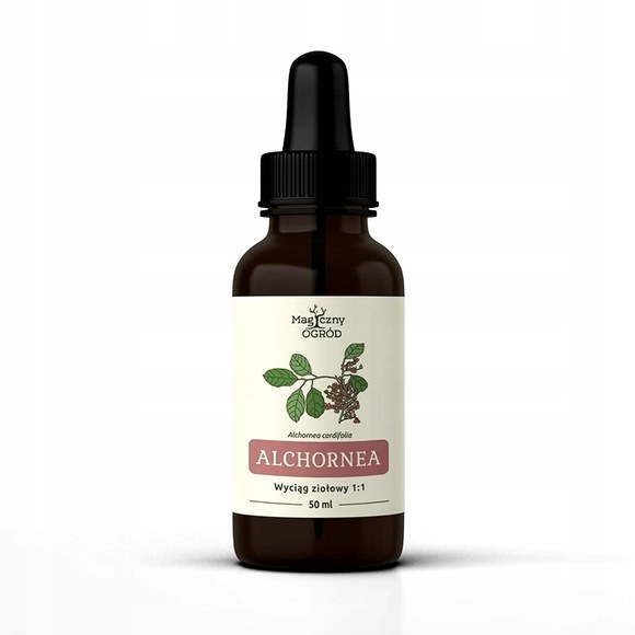 Nanga ALCHORNEA CORDIFOLIA wyciąg ziołowy 50ml