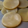 KAMELEON GRZYBEK HERBACIANY KOMBUCHA + starter + herbata