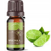8x NANGA OLEJEK ETERYCZNY zestaw MIX olejków INHALACJA MASAŻ AROMATERAPIA 8x NANGA OLEJEK ETERYCZNY zestaw MIX olejków INHALACJA MASAŻ AROMATERAPIA