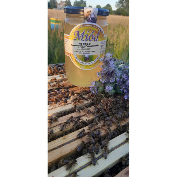 MIÓD WIELOKWIATOWY 25g x 6szt 150G 0,15KG MAŁE MIODKI MIODEK ŁOWICZ MIÓD WIELOKWIATOWY 25g x 6szt 150G 0,15KG MAŁE MIODKI MIODEK ŁOWICZ