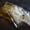 KAMELEON - KOMBUCHA + starter + GRZYBEK TYBETAŃSKI 10g +