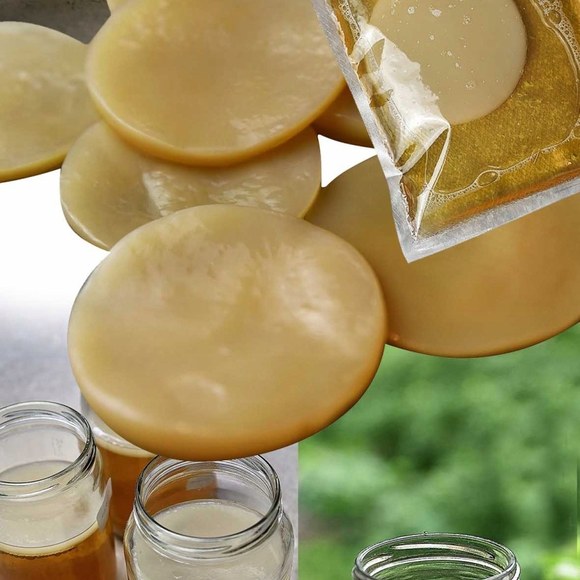KAMELEON - KOMBUCHA + starter + GRZYBEK TYBETAŃSKI 10g +