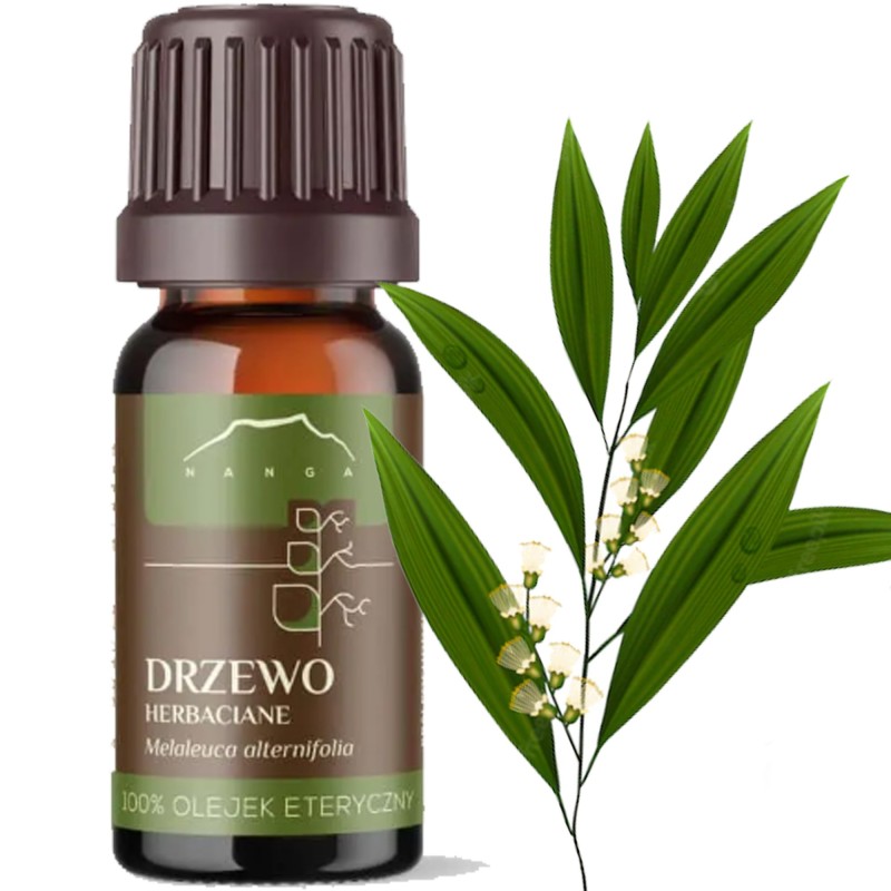 Nanga OLEJEK ETERYCZNY 100% DRZEWO HERBACIANE CHIŃSKIE 10ml