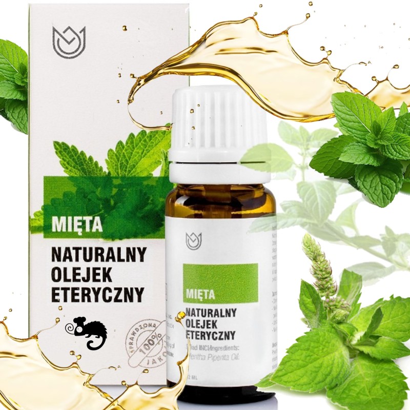 NATURALNY OLEJEK ETERYCZNY MIĘTA Miętowy 10ml MASAŻ DOM