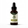 NANGA TRAGANEK Astragalus KORZEŃ WYCIĄG ZIOŁOWY 50ml