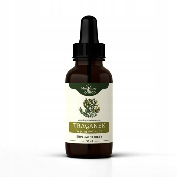 NANGA TRAGANEK Astragalus KORZEŃ WYCIĄG ZIOŁOWY 50ml