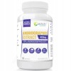 Wish ANDROGRAPHIS 10% ekstrakt 400MG 60kaps wsparcie