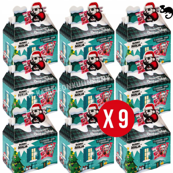 BUNNY NINJA ŚWIĄTECZNY ZESTAW ŚWIĘTA CHRISTMAS PRZEKĄSKA OWOCOWA 13szt x 9! BUNNY NINJA ŚWIĄTECZNY ZESTAW ŚWIĘTA CHRISTMAS PRZEKĄSKA OWOCOWA 13szt x 9!