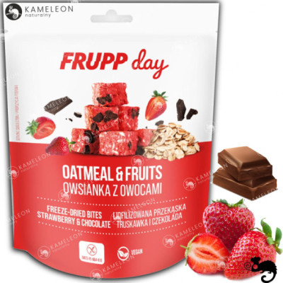 FRUPP DAY PRZEKĄSKA LIOFILIZOWANA kostki owsiane TRUSKAWKA CZEKOLADA 25g