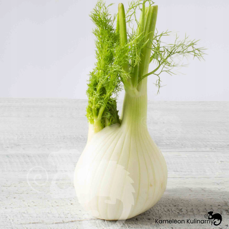NATURALNY OLEJEK ETERYCZNY KOPER WŁOSKI fenkuł 10ml