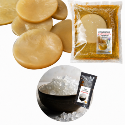 KAMELEON KULINARNY zestaw KOMBUCHA SCOBY + ALGI WODNE