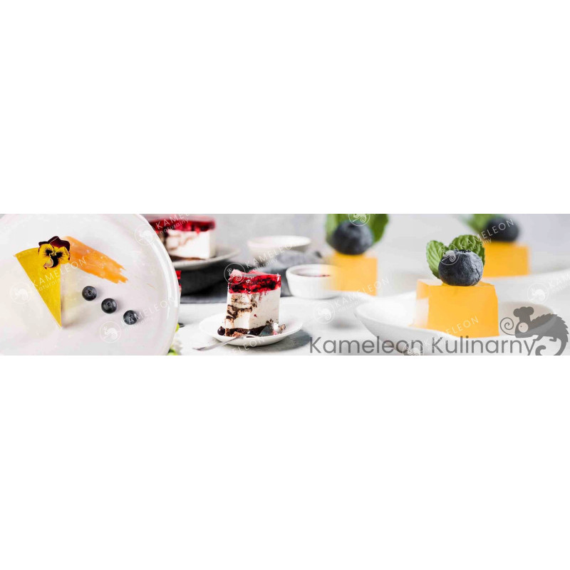 Delecta GALARETKA PORZECZKOWA czarna porzeczka 70g