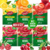 Delecta KISIEL BEZ DODATKU CUKRU mix SMAKÓW 6szt
