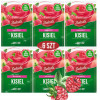 Delecta KISIEL MALINOWY bez dodatku cukru 38G 6szt