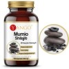 Yango MUMIO SHILAJIT 40% KWASÓW FELUROWYCH wsparcie