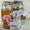 KAMELEON ŚCIERECZKA do kombucha grzybek tybetański algi