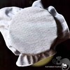 KAMELEON ŚCIERECZKA do kombucha grzybek tybetański algi
